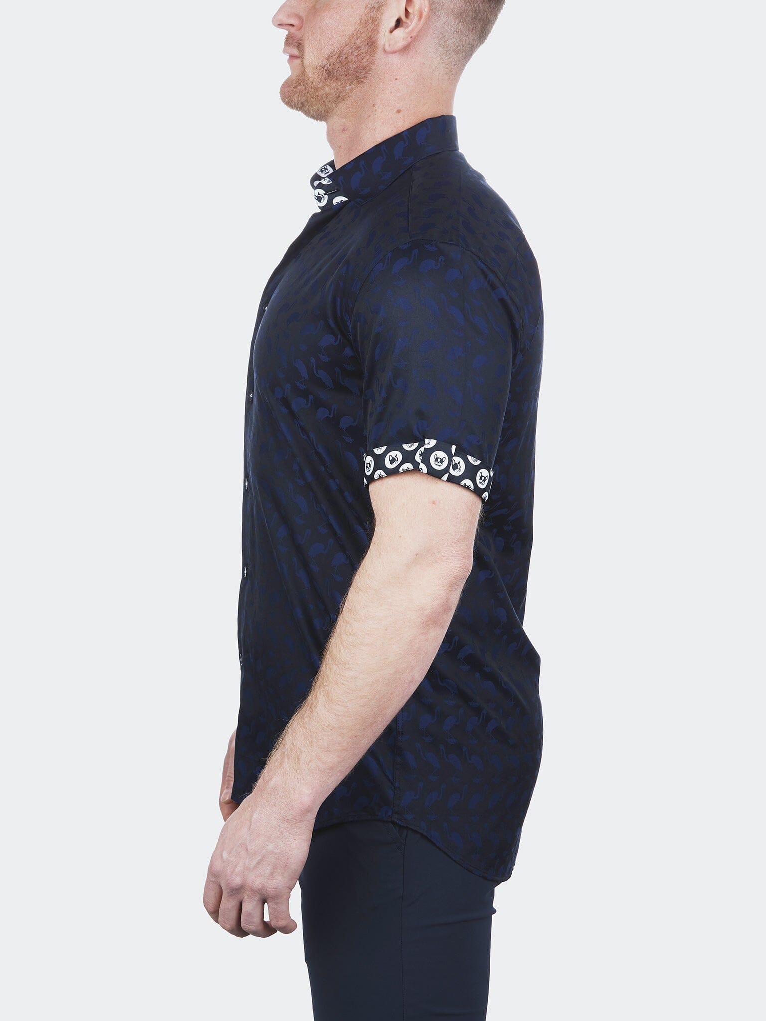 Galileo Flamingo  Blue