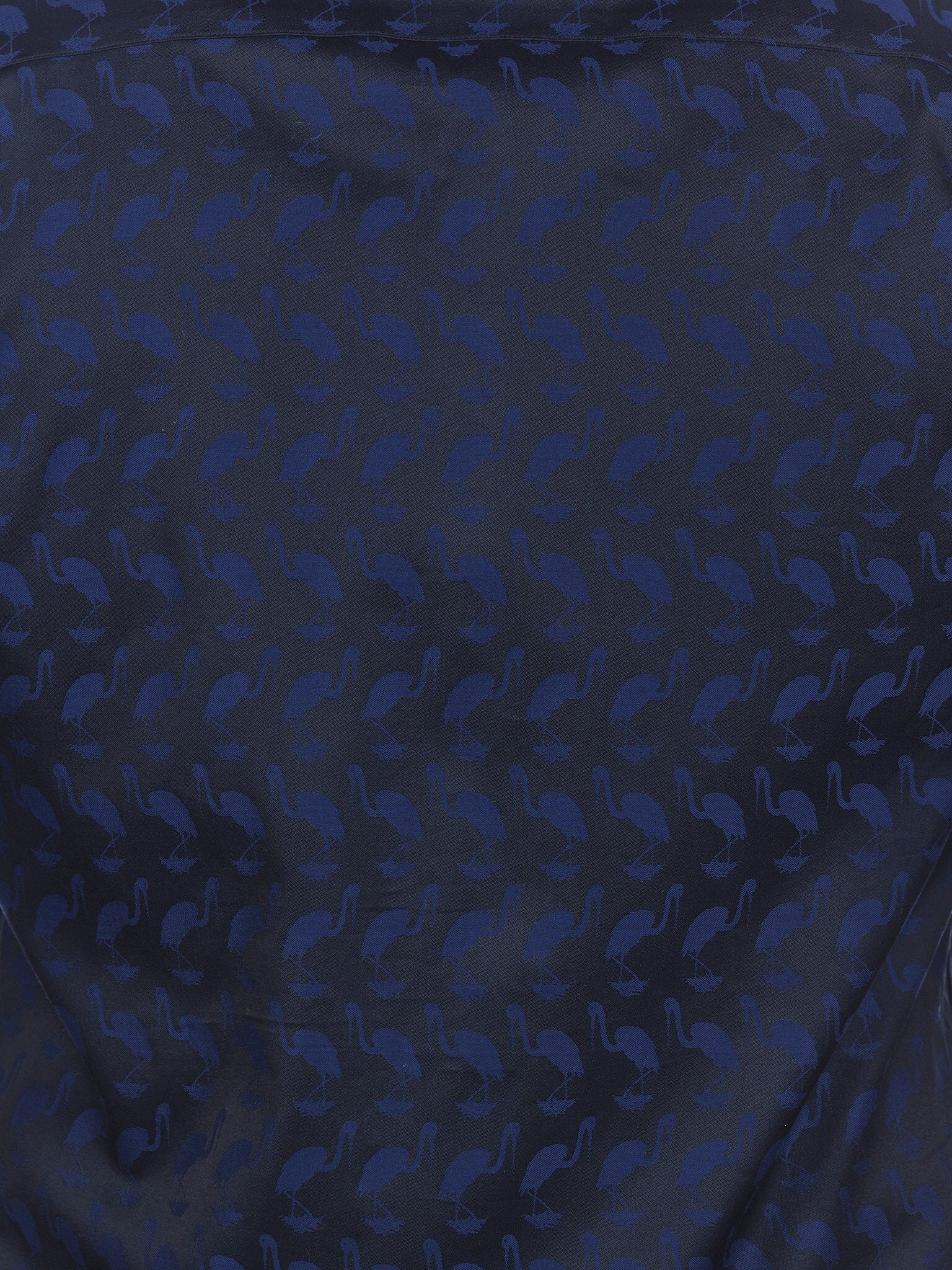Galileo Flamingo  Blue
