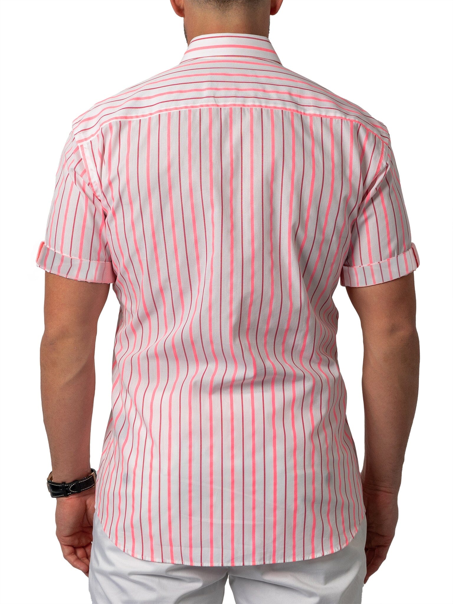 Galileo Fushia Stripe Pink