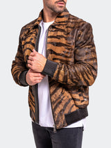 Leather Ascension0023 Multi View-3