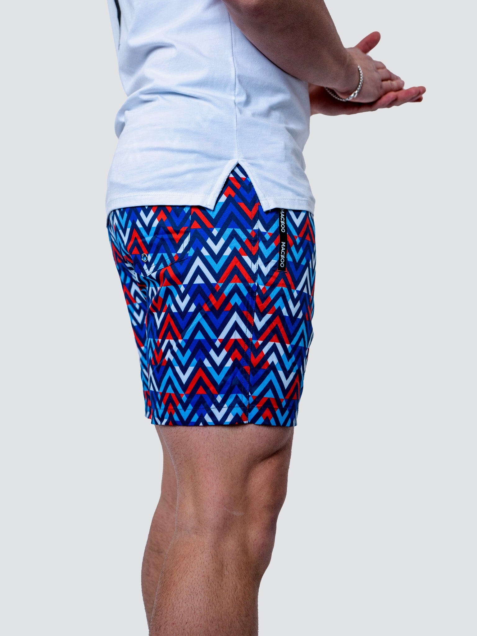 Lion Patriot Multi Swim Trunks