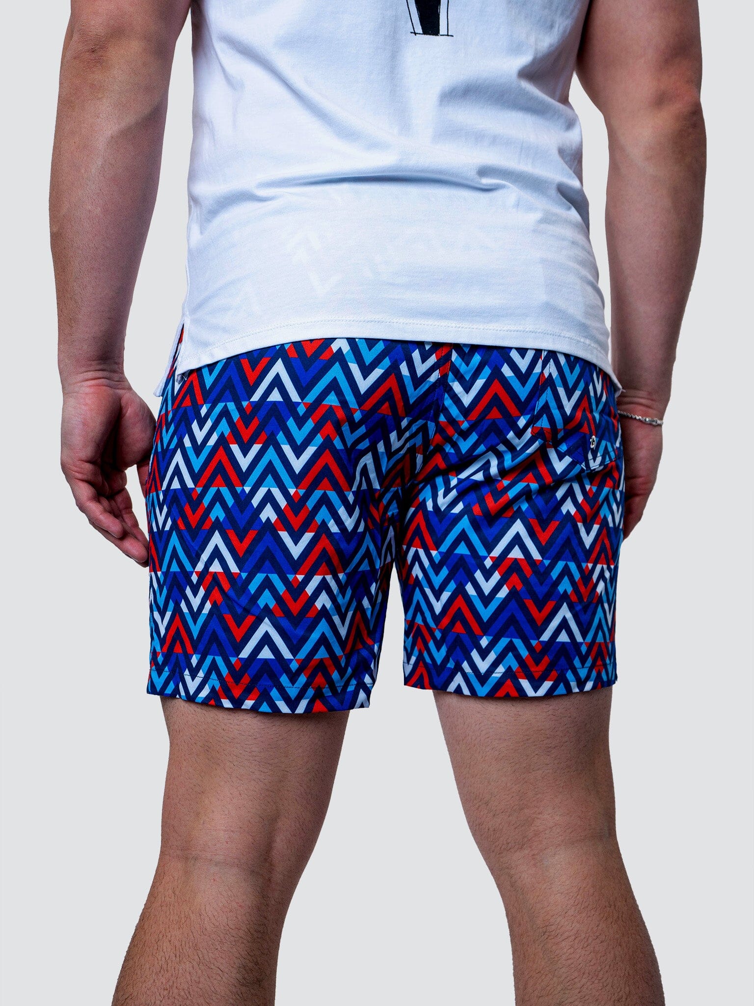 Lion Patriot Multi Swim Trunks