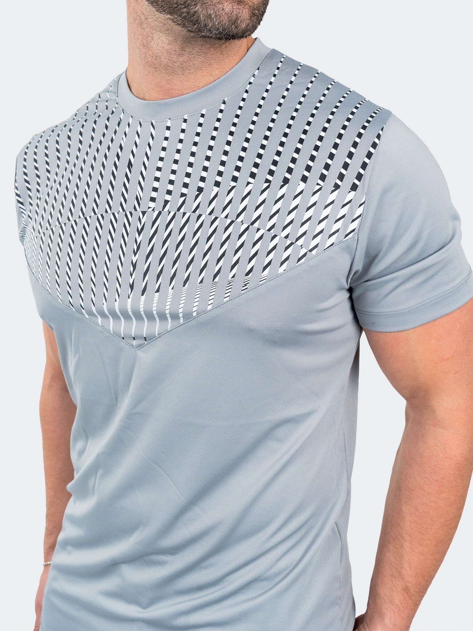 Shield Grey Tee