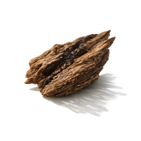 Agarwood