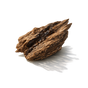 Agarwood
