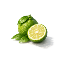 Bergamot