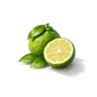 Bergamot