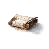 Birch