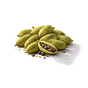 Cardamom