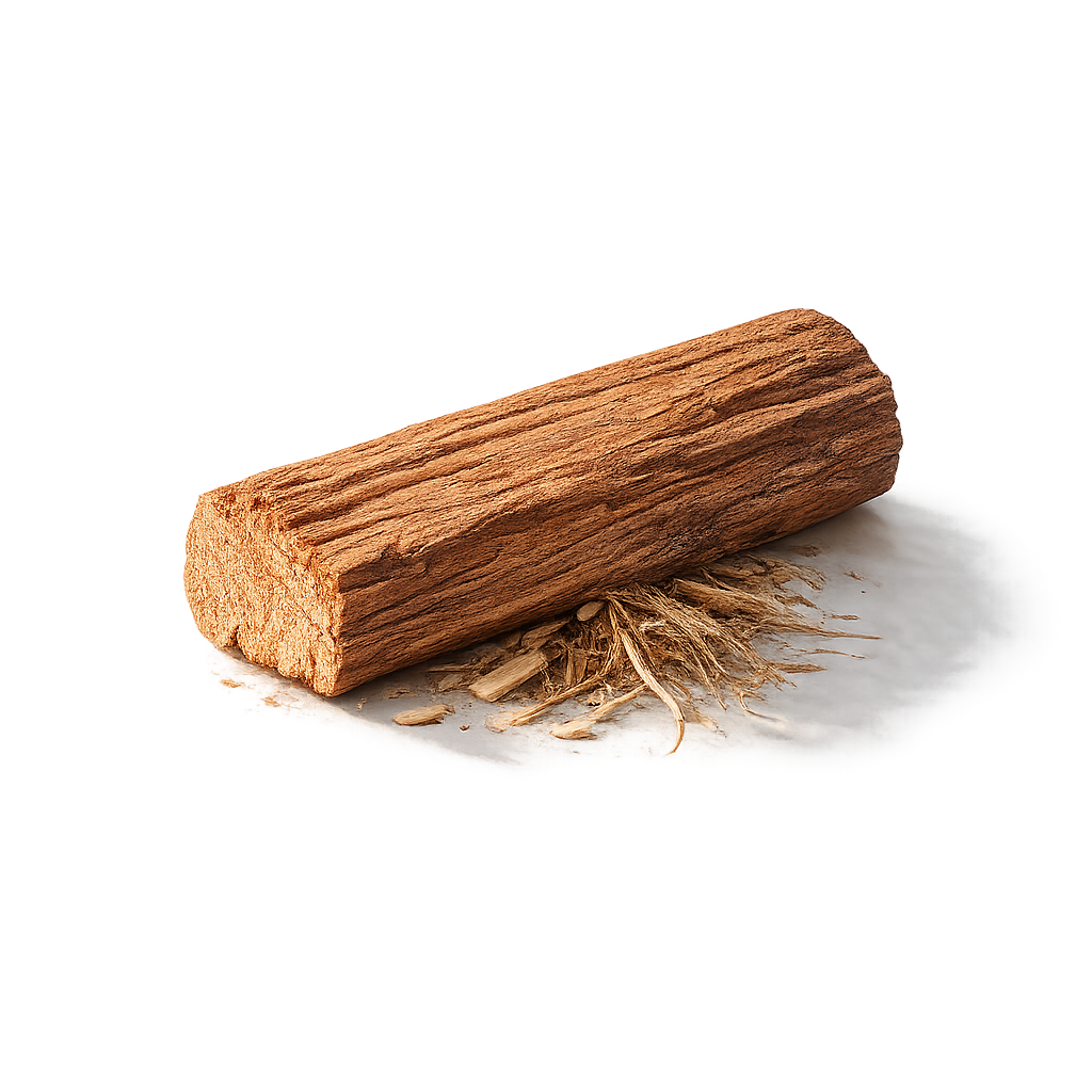 Cedar