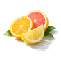 Citrus