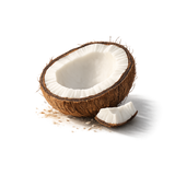 Coconut