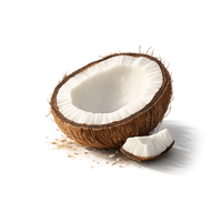 Coconut