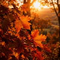 Fall