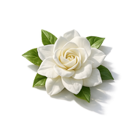 Gardenia