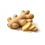 Ginger