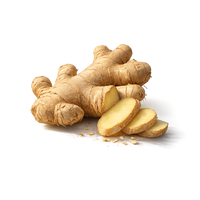 Ginger