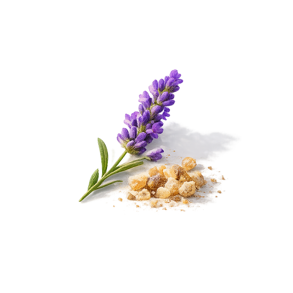 Lavender