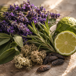 Aromatic Fougere