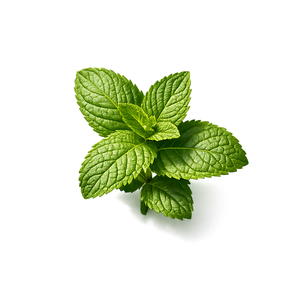 Mint
