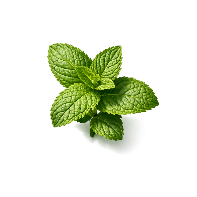 Mint