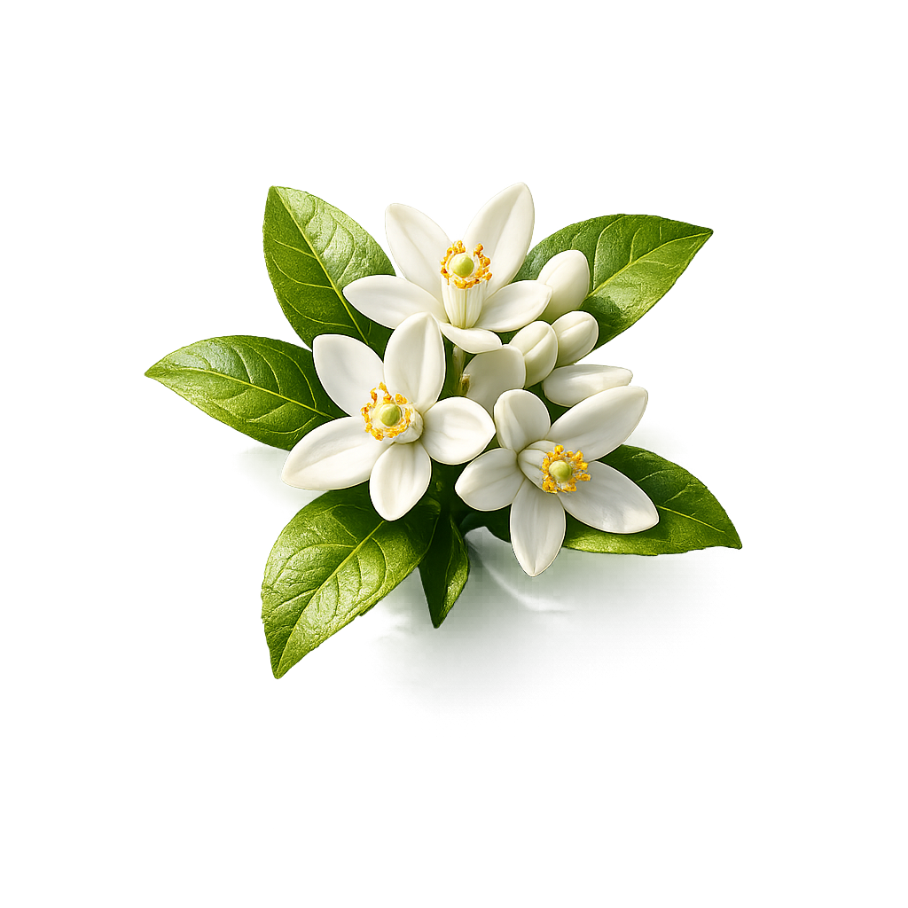 Neroli
