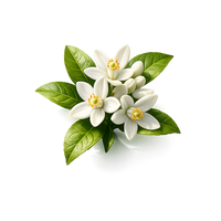 Neroli