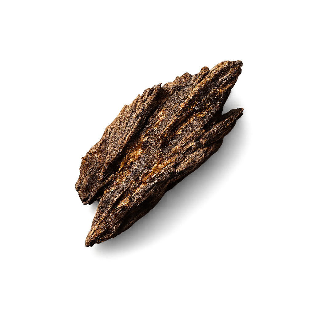 Oud