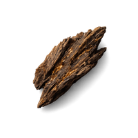 Oud