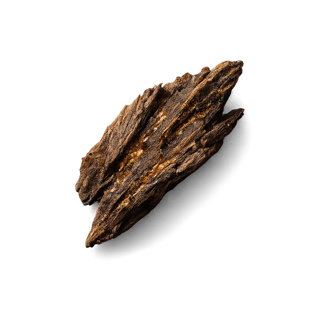 Oud