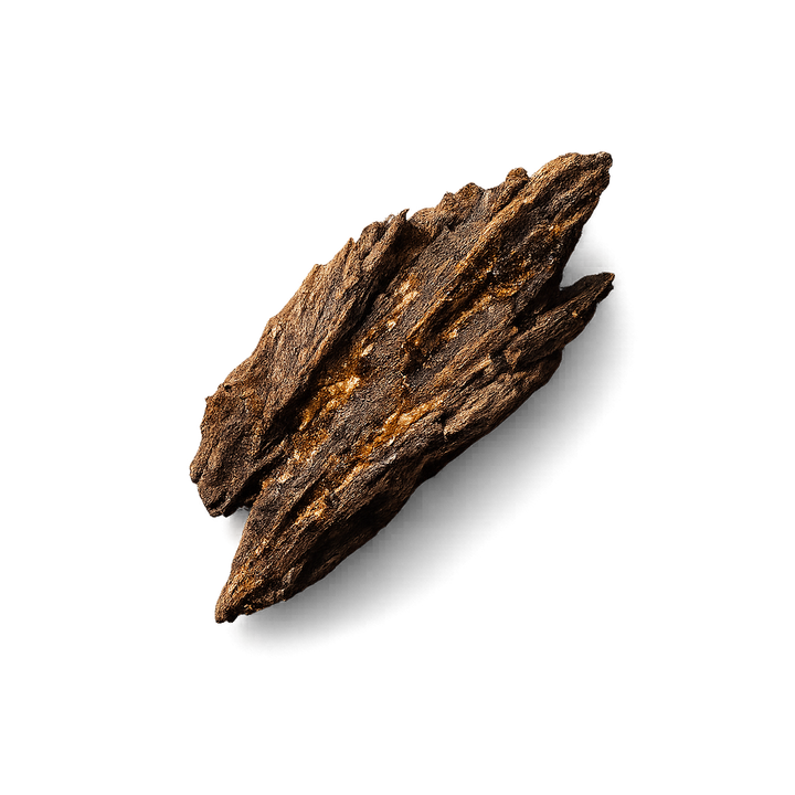 Oud