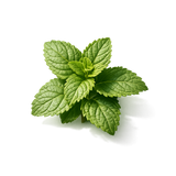 Patchouli