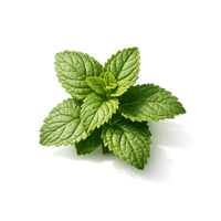 Patchouli