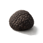 Truffle
