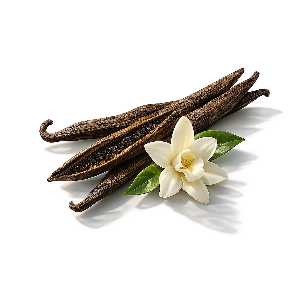 Vanilla