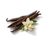Vanilla