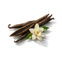 Vanilla