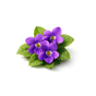 Violet