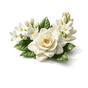 White Flowers