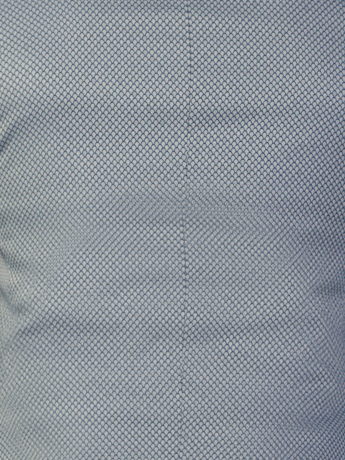 Blazer Beethoven Snake Grey