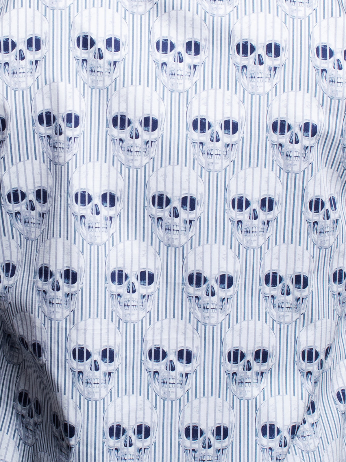 Fibonacci Skullstripe Blue