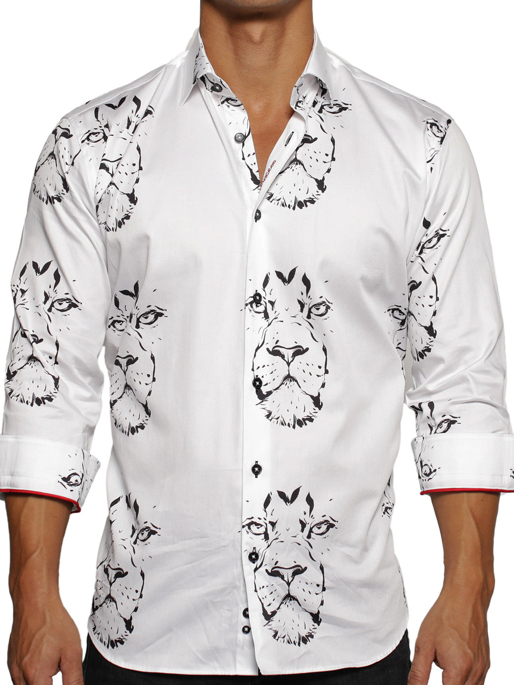 Fibonacci LionDrawing White