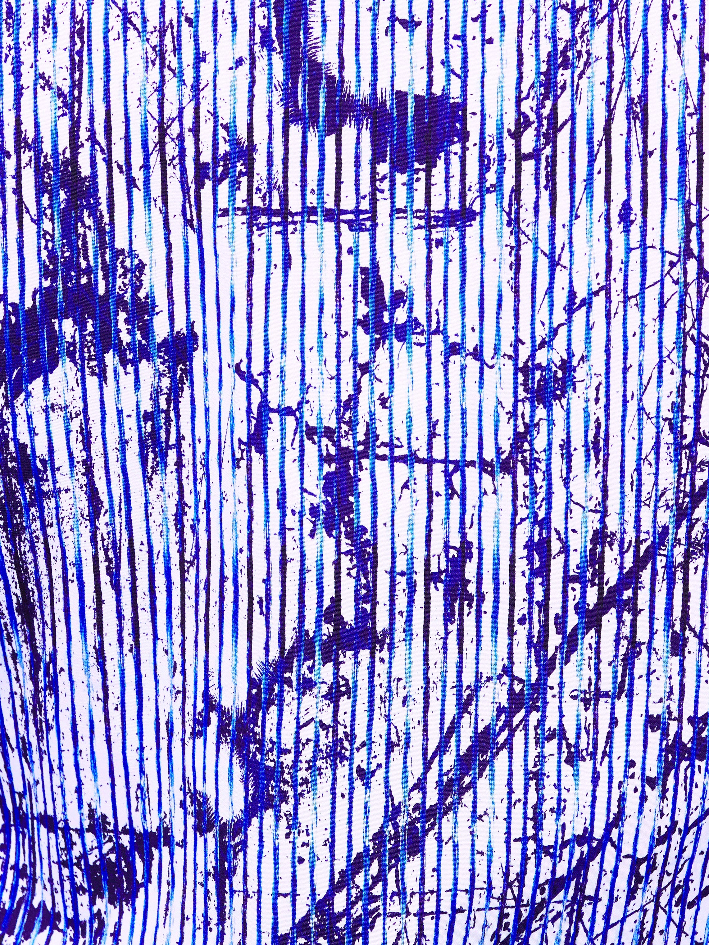 Fibonacci Artwork Blue