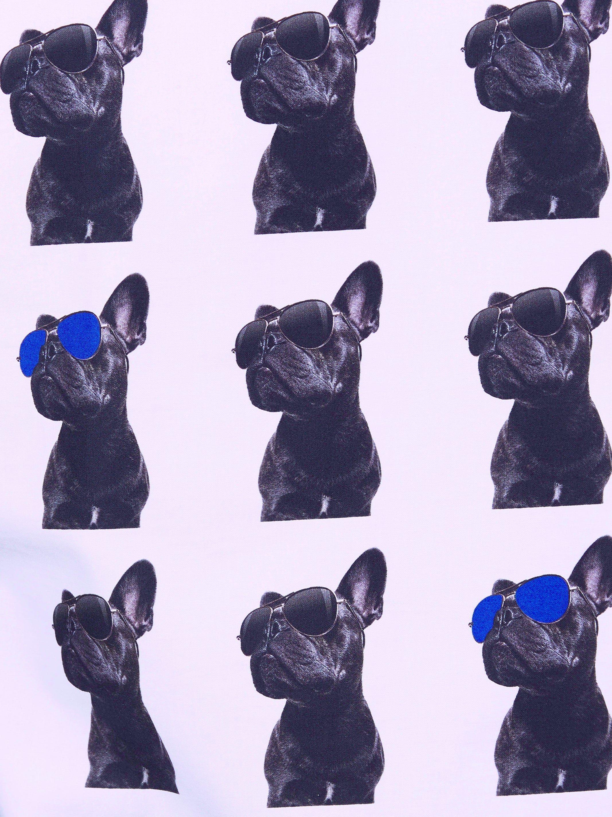 Fibonacci Cooldog White