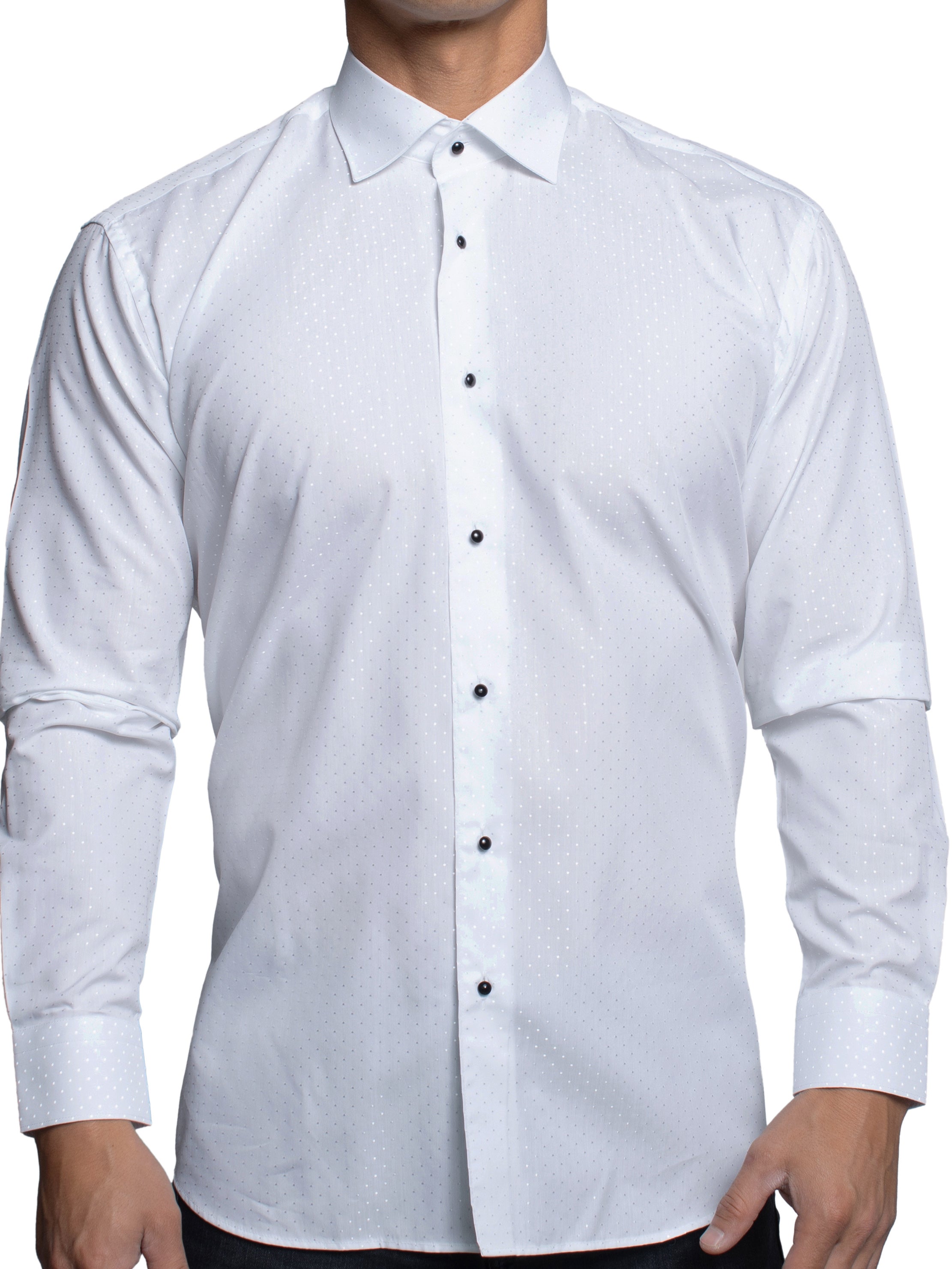 Fibonacci Dot White