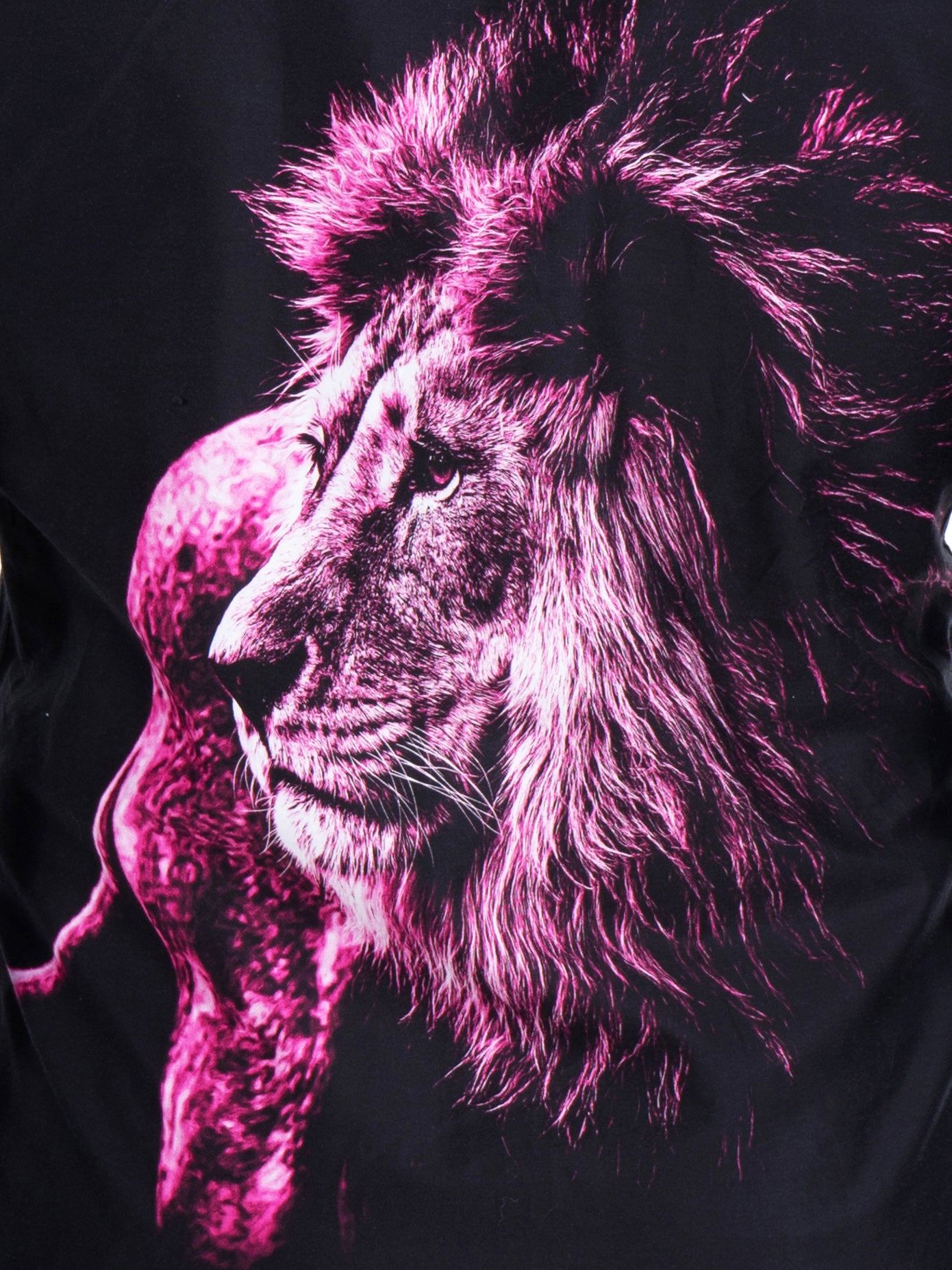 Fibonacci LionMajestic Black