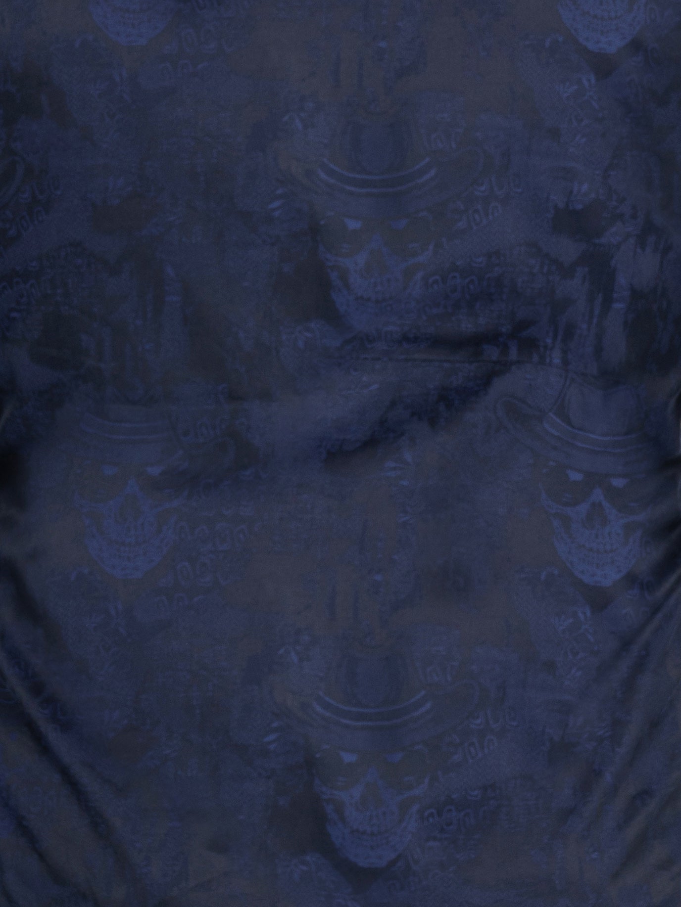 Fibonacci SkullSmile Blue