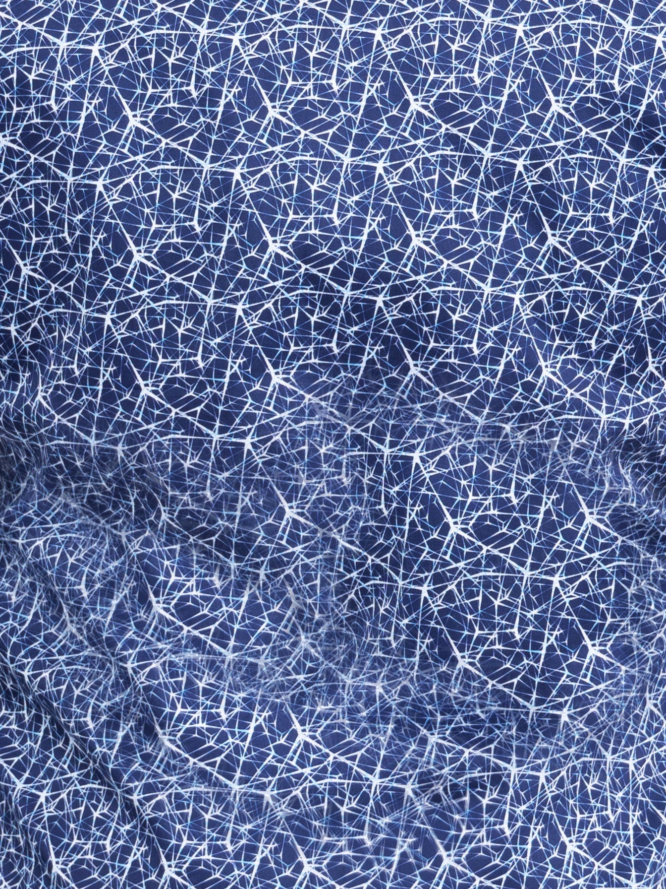 Fibonacci Net Blue