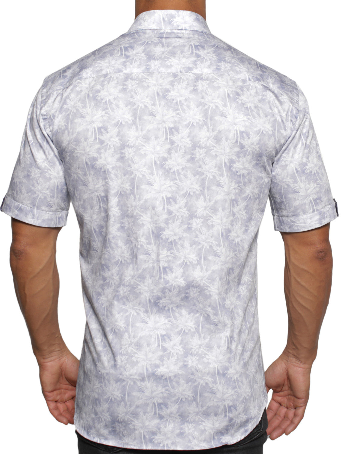 Galileo Hawaii Blue