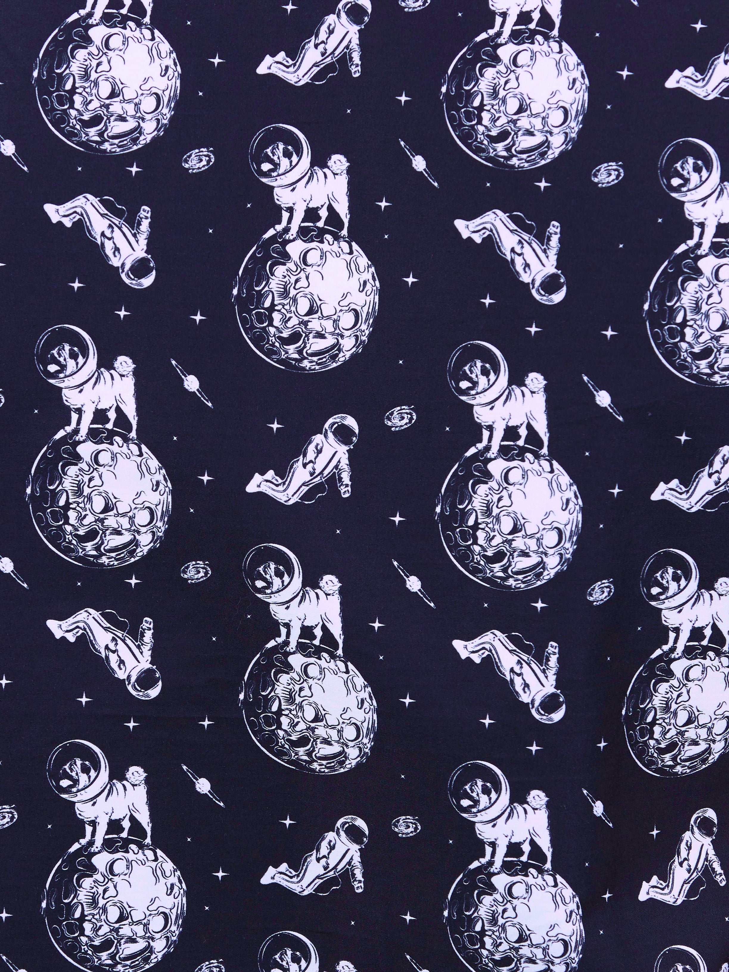 Galileo DogSpace Black